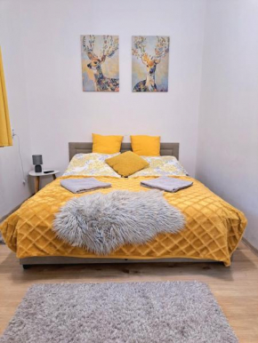 Belvárosi Lux Apartman